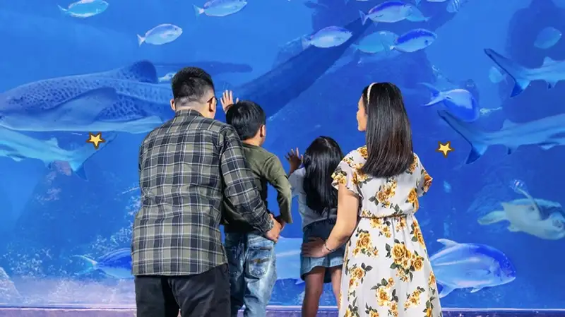 aktivitas di Jakarta Aquarium Safari