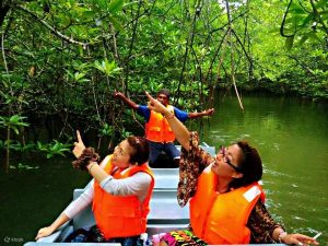 Mangrove Bintan