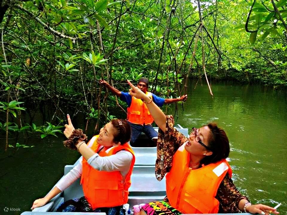 Mangrove Bintan