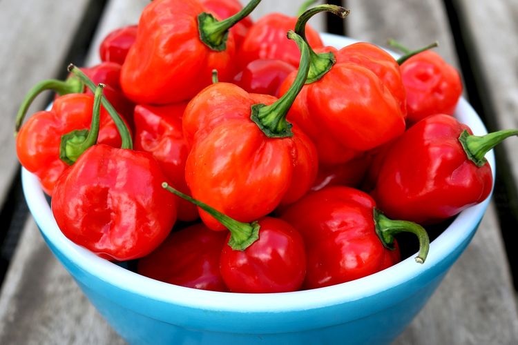 Cabai Habanero, Sensasi Pedas yang Menggugah Selera dan Menyimpan Banyak Kejutan