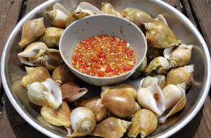 Kuliner Gonggong